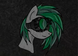 Size: 4096x2989 | Tagged: safe, derpibooru import, oc, oc:flare, oc:illume, unofficial characters only, pegasus, pony, bust, disguise, disguised changeling, female, goggles, high res, image, mare, night vision goggles, png, portrait, profile, solo