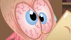 Size: 1334x750 | Tagged: safe, derpibooru import, screencap, philomena, phoenix, a bird in the hoof, close-up, extreme close up, eye, eyes, female, gross up close up, image, png, solo