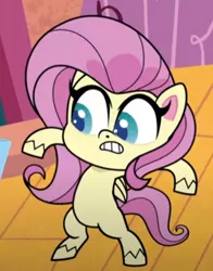 Size: 366x468 | Tagged: safe, derpibooru import, screencap, fluttershy, pegasus, pony, my little pony: pony life, unboxing day, spoiler:pony life s01e18, bipedal, cropped, female, image, png, solo, surprised