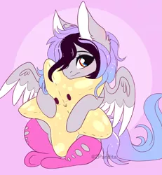 Size: 2743x2971 | Tagged: safe, artist:2pandita, derpibooru import, oc, oc:zeila, pegasus, pony, clothes, female, image, mare, plushie, png, socks, solo, star plushie, stars, two toned wings, wings