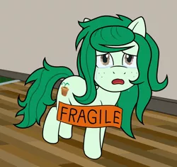 Size: 1132x1066 | Tagged: safe, artist:scraggleman, derpibooru import, wallflower blush, ponified, earth pony, pony, crying, equestria girls ponified, freckles, image, meme, png, ponified animal photo, ponified meme, sad, solo, sticker