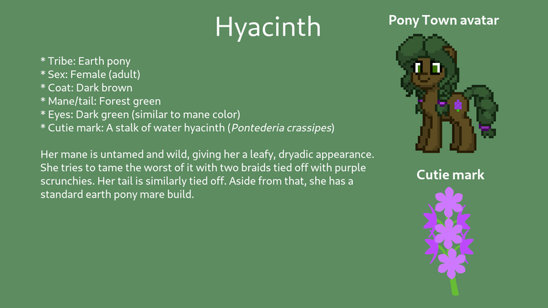 Size: 1600x900 | Tagged: safe, artist:hawthornbunny, derpibooru import, oc, oc:hyacinth, unofficial characters only, earth pony, pony, pony town, female, green background, image, mare, png, reference sheet, simple background, solo, text