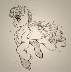 Size: 4290x4330 | Tagged: safe, artist:sunshine, derpibooru import, oc, oc:steam loco, unofficial characters only, pegasus, pony, black and white, commission, cute, folded wings, goggles, grayscale, image, jpeg, male, monochrome, pegasus oc, simple background, solo, wings, ych result