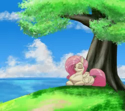 Size: 3600x3200 | Tagged: safe, artist:inky_mitts, derpibooru import, fluttershy, pegasus, pony, cute, eyes closed, female, high res, image, lying down, mare, png, ponyloaf, prone, shyabetes, signature, sleeping, solo, tree