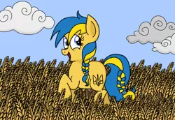 Size: 758x521 | Tagged: safe, artist:graciegirl328, derpibooru import, ponified, pony, image, nation ponies, png, solo, ukraine