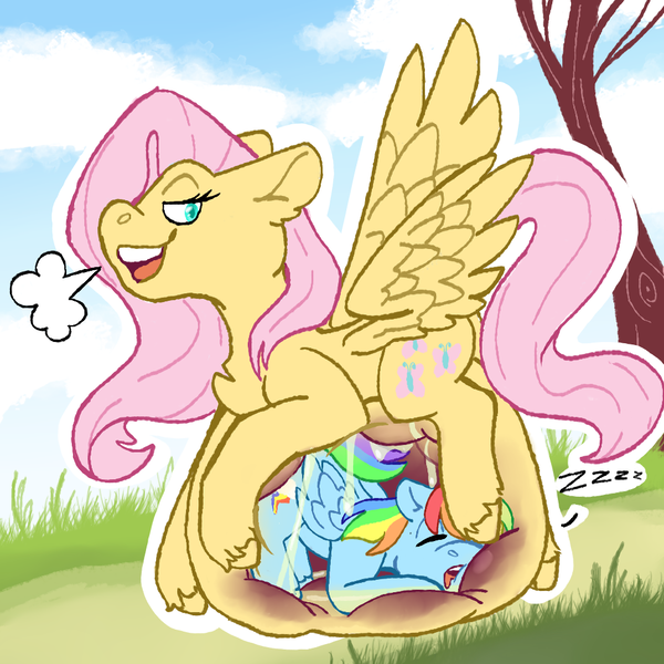 Size: 1000x1000 | Tagged: questionable, artist:apatheticxaddict, derpibooru import, fluttershy, rainbow dash, pegasus, pony, belly, belly bed, belly on floor, big belly, cloud, colored pupils, dubious consent, endosoma, eyes closed, female, females only, flutterpred, grass, huge belly, image, impossibly large belly, internal, mare, non-fatal vore, onomatopoeia, png, preydash, sleeping, soft vore, sound effects, stomach, stomach walls, tongue out, tree, vore, x-ray, zzz