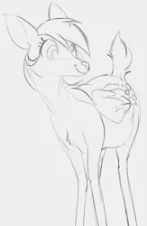 Size: 476x732 | Tagged: safe, artist:dotkwa, derpibooru import, derpy hooves, deer, deer pony, original species, peryton, deerified, doe, female, grayscale, image, monochrome, png, solo, species swap