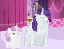 Size: 2721x2087 | Tagged: safe, artist:general proton, derpibooru import, rarity, sweetie belle, ponified, pony, unicorn, carousel boutique, doge, eyeshadow, female, image, makeup, meme, png, ponified meme, siblings, sisters, sitting