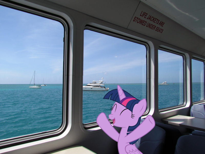 Size: 2800x2100 | Tagged: safe, artist:sonofaskywalker, derpibooru import, twilight sparkle, twilight sparkle (alicorn), alicorn, pony, female, ferry, florida, image, irl, mare, photo, png, ponies in real life