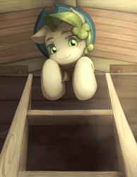 Size: 3873x5000 | Tagged: safe, artist:aquoquoo, derpibooru import, pistachio, earth pony, pony, image, png, solo