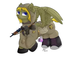 Size: 4000x3000 | Tagged: safe, artist:donnik, derpibooru import, oc, oc:donnik, pegasus, pony, ak-47, aks-74u, assault rifle, clothes, gun, image, png, rifle, scar, solo, spread wings, stalker, weapon, wings