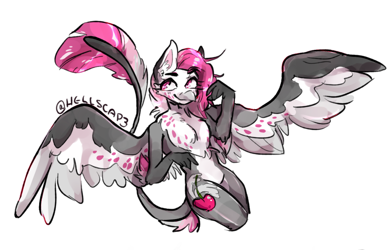 Size: 1320x843 | Tagged: safe, artist:lunaraesthetic, derpibooru import, oc, oc:cherry feather, unofficial characters only, anthro, hippogriff, barbie doll anatomy, chest fluff, female, image, leonine tail, looking away, pale belly, png, solo, spread wings, tail fluff, white belly, wings