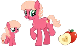 Size: 2590x1562 | Tagged: safe, artist:littlejurnalina, derpibooru import, oc, earth pony, pony, canon x oc, cutie mark, earth pony oc, female, filly, freckles, image, mare, offspring, parent:big macintosh, parent:unnamed oc, png, simple background, solo, transparent background