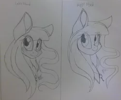 Size: 2147x1766 | Tagged: safe, artist:donnie-moon, derpibooru import, oc, oc:ren, unofficial characters only, earth pony, pony, blushing, bust, comparison, duo, earth pony oc, eyelashes, image, jewelry, jpeg, lineart, necklace, smiling, solo, traditional art