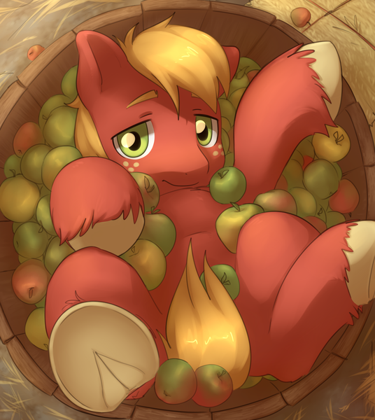 Size: 3589x4015 | Tagged: safe, artist:aquoquoo, derpibooru import, big macintosh, earth pony, pony, apple, bucket, cute, food, freckles, frog (hoof), high res, image, looking at you, macabetes, male, overhead view, png, solo, stallion, underhoof, unshorn fetlocks