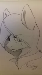Size: 1836x3264 | Tagged: safe, artist:artfestation, derpibooru import, ponified, earth pony, pony, assassin's creed, bust, female, hood, image, jpeg, lineart, mare, solo, traditional art