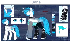 Size: 3000x1772 | Tagged: safe, artist:sparkie45, derpibooru import, oc, oc:jona, pegasus, pony, choker, clothes, hoodie, image, male, png, reference sheet, solo, spiked choker, stallion