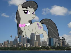 Size: 1632x1224 | Tagged: safe, artist:kooner-cz, derpibooru import, octavia melody, earth pony, pony, australia, female, giant pony, giant/macro earth pony, giantess, highrise ponies, image, irl, macro, mare, photo, png, ponies in real life, sydney