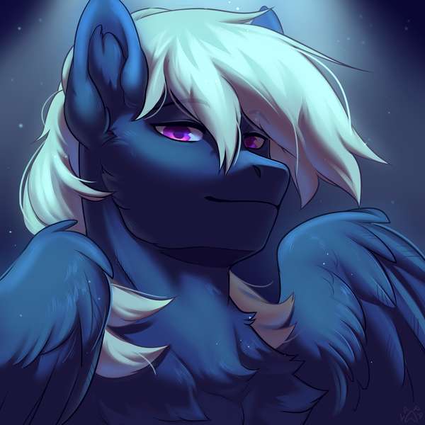 Size: 2300x2300 | Tagged: safe, artist:jedayskayvoker, derpibooru import, oc, oc:moon shield, pegasus, pony, bust, image, male, png, solo, stallion