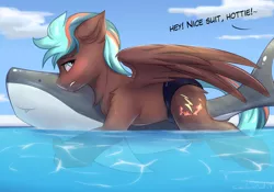 Size: 2300x1606 | Tagged: suggestive, artist:snowstormbat, derpibooru import, oc, oc:thunder twist, pegasus, pony, blushing, clothes, dialogue, image, male, my little pony, png, shy, solo, solo male, speedo, stallion, swimming pool, water