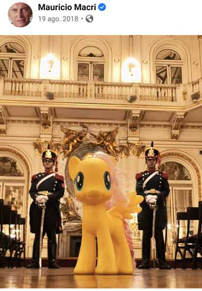 Size: 1080x1550 | Tagged: safe, derpibooru import, fluttershy, pegasus, pony, argentina, facebook, forced perspective, guard, image, irl, macri, photo, png, president, this is real, toy