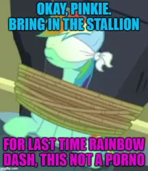 Size: 500x575 | Tagged: suggestive, derpibooru import, edit, edited screencap, screencap, rainbow dash, daring done?, assumed sex, blindfold, caption, cropped, image, implied blowjob, implied oral, implied pinkie pie, implied sex, implied straight, jpeg, solo, text, tied up