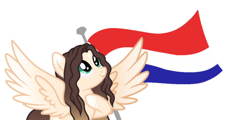 Size: 1201x624 | Tagged: safe, artist:cindydreamlight, derpibooru import, oc, pegasus, pony, dutch, flag, image, png