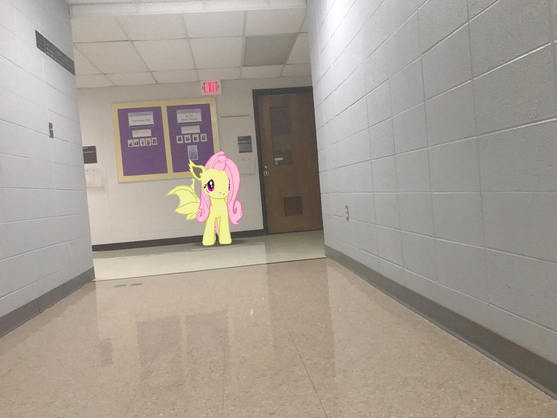 Size: 4032x3024 | Tagged: safe, derpibooru import, fluttershy, bat pony, pony, bat ponified, door, flutterbat, hallway, image, irl, jpeg, photo, ponies in real life, race swap, school