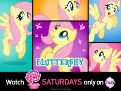 Size: 1600x1200 | Tagged: safe, derpibooru import, fluttershy, butterfly, insect, pegasus, cute, female, hub logo, image, jpeg, my little pony logo, official, only on the hub, pony history, shyabetes, the hub