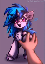 Size: 2894x4093 | Tagged: safe, artist:glotasha, derpibooru import, vinyl scratch, human, pony, unicorn, art, blushing, boop, disembodied hand, floating heart, friends, hand, heart, high five, hoofbump, human pov, illustration, image, love, offscreen character, open mouth, open smile, png, present, real, smiling, solo, touch