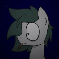 Size: 1000x1000 | Tagged: safe, artist:superderpybot, ponybooru import, oc, oc:pencil pusher, unofficial characters only, earth pony, pony, bust, cigarette, earth pony oc, image, male, night, png, smoking, solo, stallion