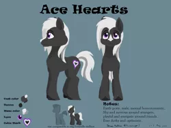 Size: 2400x1800 | Tagged: safe, artist:rockhoppr3, derpibooru import, oc, oc:ace hearts, unofficial characters only, earth pony, pony, image, png, reference sheet