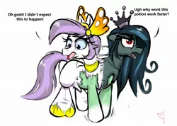 Size: 2048x1457 | Tagged: safe, artist:softballoonpony, derpibooru import, oc, oc:athena (shawn keller), oc:lustrous (shawn keller), unofficial characters only, pony, annoyed, crown, duo, female, guardians of pondonia, image, jewelry, jpeg, mare, margarita paranormal, mitosis, multiple heads, regalia, shocked, simple background, stuck, two heads, white background