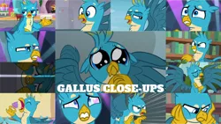 Size: 1280x722 | Tagged: safe, derpibooru import, edit, edited screencap, editor:quoterific, screencap, gallus, gryphon, season 8, season 9, spoiler:s08, spoiler:s09, angry, close-up, cute, evil grin, gallabetes, grin, image, png, puppy dog eyes, scared, smiling