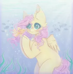 Size: 1200x1220 | Tagged: safe, derpibooru import, fluttershy, fish, goldfish, pegasus, pony, bubble, cute, green eyes, image, png, solo, sparkles, underwater, water