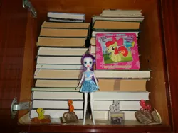 Size: 2592x1944 | Tagged: safe, derpibooru import, apple bloom, applejack, fluttershy, pinkie pie, rarity, equestria girls, book, bookshelf, cyrillic, doll, image, irl, jpeg, photo, puzzle, russian, stone, toy