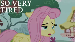 Size: 1280x720 | Tagged: safe, derpibooru import, edit, edited screencap, editor:quoterific, screencap, fluttershy, pegasus, pony, season 8, yakity-sax, spoiler:s08, female, floppy ears, image, jpeg, mare, messy mane, open mouth, solo, tired