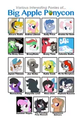 Size: 600x900 | Tagged: safe, artist:purpletinker, artist:stephanie buscema, derpibooru import, oc, oc:mic the microphone, oc:nowacking, oc:rina-chan, pony, 2013, alicorn radio, andrea libman, andy price, big apple ponycon, bronies for good, brony time, celestia radio, glasses, image, jayson thiessen, joe strike, katie cook, png, ponyville live, summer hayes, the brony show, traveling pony museum, unanimous delivers