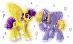 Size: 2048x1246 | Tagged: artist needed, safe, derpibooru import, oc, oc:lila lilark, oc:skyspark, unofficial characters only, pegasus, pony, birthmark, blonde mane, brother and sister, female, image, jewelry, jpeg, male, necklace, purple mane, siblings, sunglasses