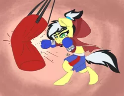 Size: 3300x2550 | Tagged: safe, artist:leadhooves, derpibooru import, oc, oc:uppercute, unofficial characters only, earth pony, pony, bipedal, boxing gloves, boxing shorts, clothes, female, freckles, hair tie, hoodie, image, mare, png, punch, punching bag, solo