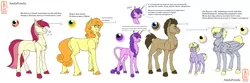 Size: 4000x1329 | Tagged: safe, artist:anelaponela, derpibooru import, amethyst star, carrot top, derpy hooves, dinky hooves, doctor whooves, golden harvest, roseluck, time turner, earth pony, pegasus, pony, unicorn, adopted, colored hooves, cyrillic, doctorderpy, family, female, filly, glasses, headcanon, horn, image, leonine tail, long mane, long tail, looking at each other, male, mare, pegasus wings, png, redesign, russian, shipping, short mane, short tail, simple background, smiling, smiling at each other, sparkles, stallion, straight, transgender, travelersverse, wings