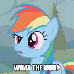 Size: 500x500 | Tagged: safe, derpibooru import, edit, edited screencap, screencap, rainbow dash, earth pony, pony, the return of harmony, caption, confused, cropped, cute, dashabetes, earth pony rainbow dash, female, image, image macro, imgflip, jpeg, mare, solo, text