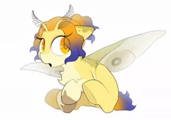 Size: 1024x722 | Tagged: safe, artist:mochi_nation, derpibooru import, oc, oc:moth, unofficial characters only, insect, moth, mothpony, original species, pony, chest fluff, eye clipping through hair, female, image, jpeg, mare, simple background, sitting, solo, white background