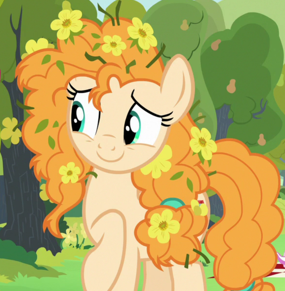 Size: 877x893 | Tagged: safe, derpibooru import, screencap, pear butter, earth pony, pony, season 7, the perfect pear, cropped, cute, female, flower, flower in hair, image, mare, messy mane, pearabetes, png, raised hoof