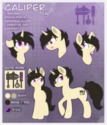 Size: 1752x2048 | Tagged: safe, artist:karzii, derpibooru import, oc, oc:caliper, pony, unicorn, cutie mark, image, jpeg, palette, reference sheet