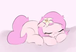 Size: 2385x1643 | Tagged: safe, artist:maxisb8, derpibooru import, oc, oc:kayla, unofficial characters only, earth pony, pony, female, filly, image, png, sleeping, solo