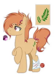 Size: 1250x1750 | Tagged: safe, artist:stardustshadowsentry, derpibooru import, oc, oc:aspen flow, earth pony, pony, image, male, offspring, parent:mane allgood, parent:snap shutter, png, simple background, solo, stallion, transparent background