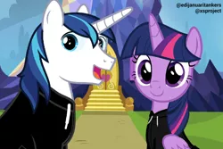 Size: 1126x750 | Tagged: safe, artist:edy_january, derpibooru import, edit, vector edit, shining armor, twilight sparkle, twilight sparkle (alicorn), alicorn, pony, unicorn, brother and sister, castle, clothes, duo, female, gopnik, hardbass, hoodie, image, incest, infidelity, male, png, shiningsparkle, shipping, siblings, slav, straight, tri poloski, twicest, twilight's castle, vector