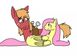 Size: 349x255 | Tagged: safe, artist:moonstruck-badger, derpibooru import, big macintosh, fluttershy, earth pony, pegasus, pony, blushing, cropped, female, fluttermac, image, looking at each other, lying down, male, mare, png, shipping, simple background, smiling, smiling at each other, stallion, straight, straw in mouth, white background