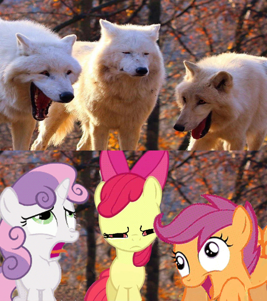 Size: 800x900 | Tagged: safe, derpibooru import, edit, edited screencap, editor:torpy, screencap, apple bloom, scootaloo, sweetie belle, wolf, comparison, cutie mark crusaders, image, jpeg, laughing wolves meme, meme, ponified meme